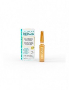 Sérum Reparador Contorno de Ojos & Piel Deshidratada - Cellular Repair Dhyvana (1 Ampolla)